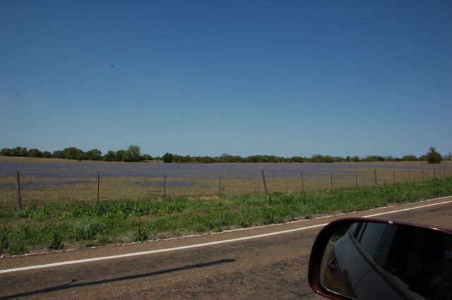 f0227709_12454742.jpg