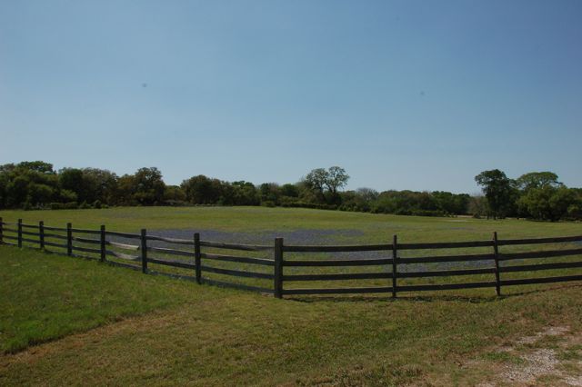 f0227709_12455337.jpg