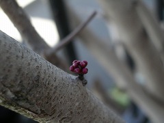 c0190010_21411339.jpg