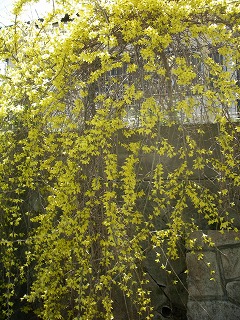 c0190010_21455814.jpg