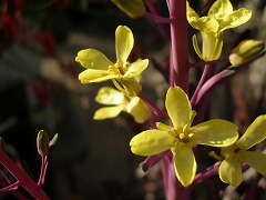 c0190010_21503667.jpg