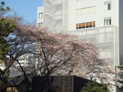 b0199912_18373564.jpg