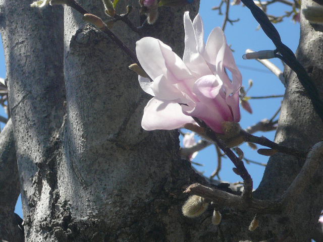 e0026017_13362100.jpg