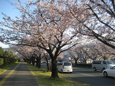 f0139520_2119355.jpg