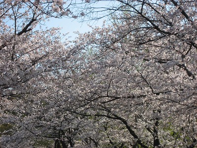 f0139520_21481267.jpg