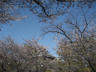 f0139520_2175068.jpg