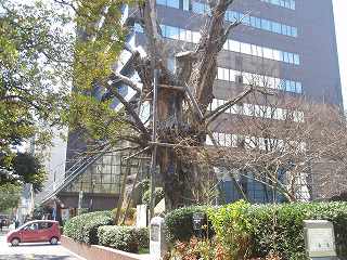 b0008825_9274541.jpg