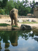 c0188928_0511895.jpg