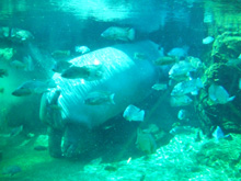 c0188928_0512994.jpg