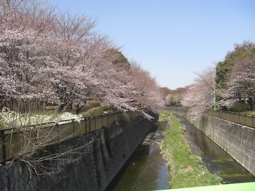 b0085331_13563025.jpg