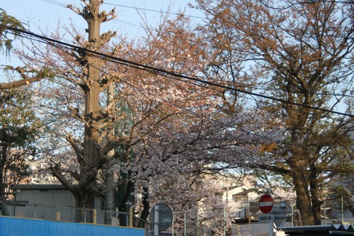 b0193632_18325811.jpg