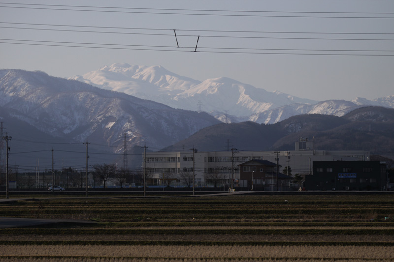 b0177233_5402352.jpg