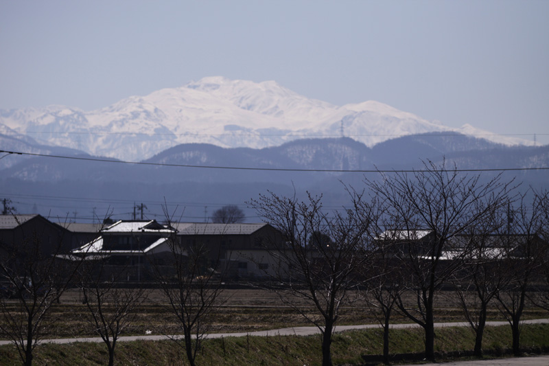 b0177233_54101.jpg