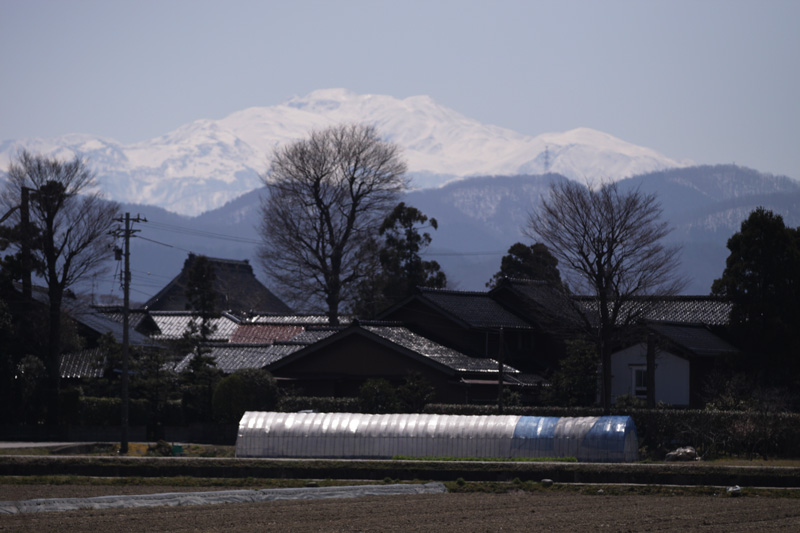 b0177233_5413265.jpg