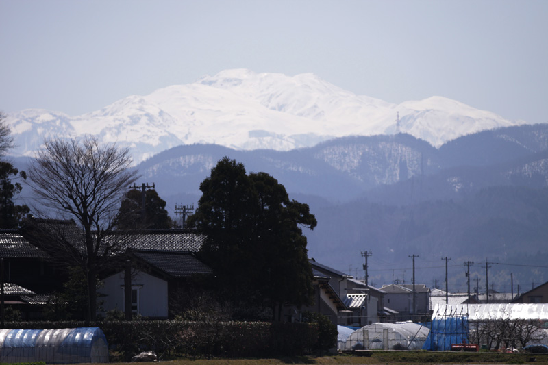 b0177233_542722.jpg