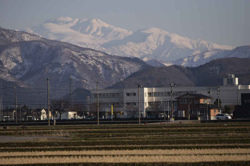 b0177233_5433530.jpg