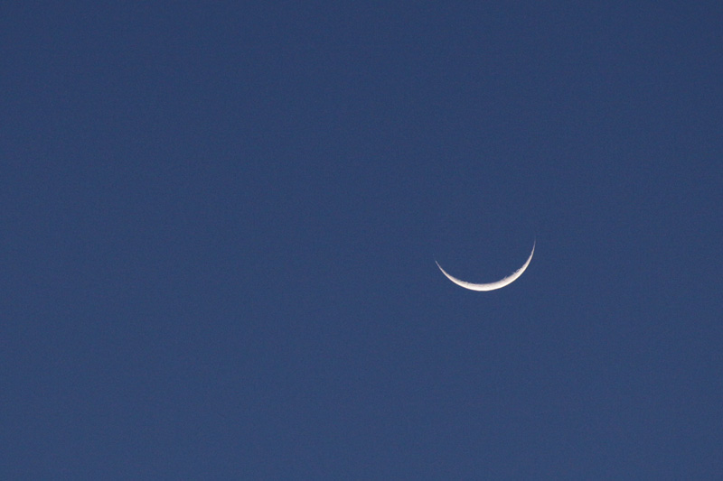 b0177233_5461844.jpg