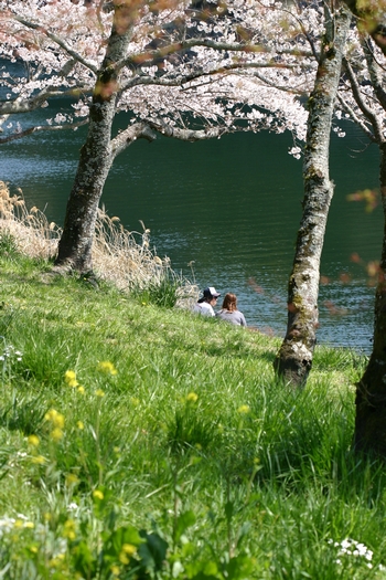 c0134734_0145220.jpg
