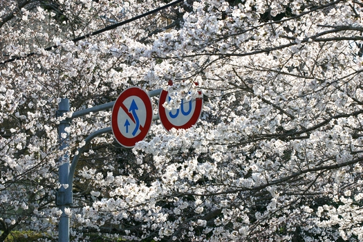 c0134734_015444.jpg