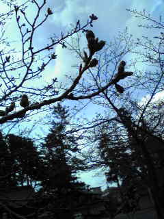 f0040734_2317934.jpg
