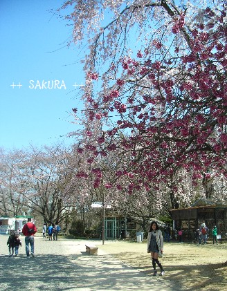 f0211735_151080.jpg