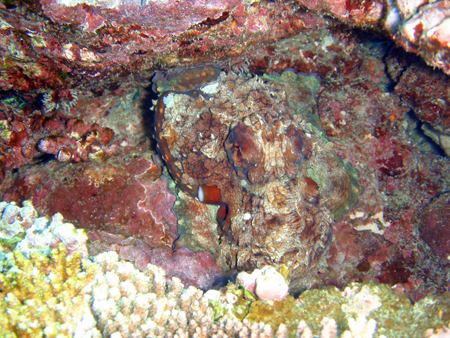 f0014842_17231139.jpg