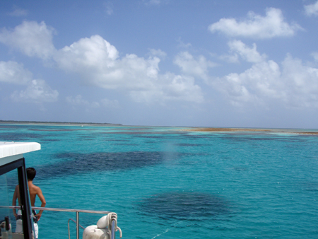 f0014842_17391142.jpg
