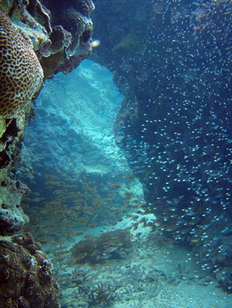f0014842_17433749.jpg