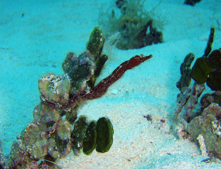 f0014842_17441323.jpg