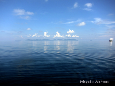 e0027447_20341166.jpg