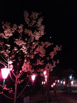 a0137651_2337287.jpg