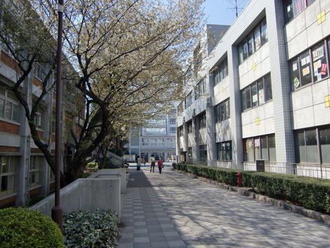 c0206352_0143667.jpg