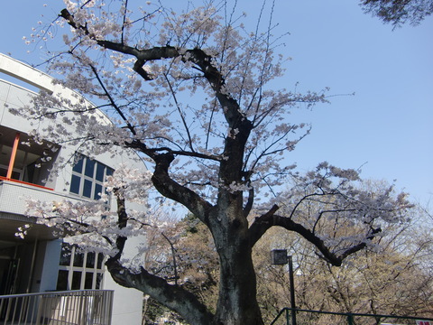 c0206352_0182947.jpg