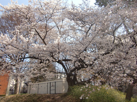 c0206352_021925.jpg