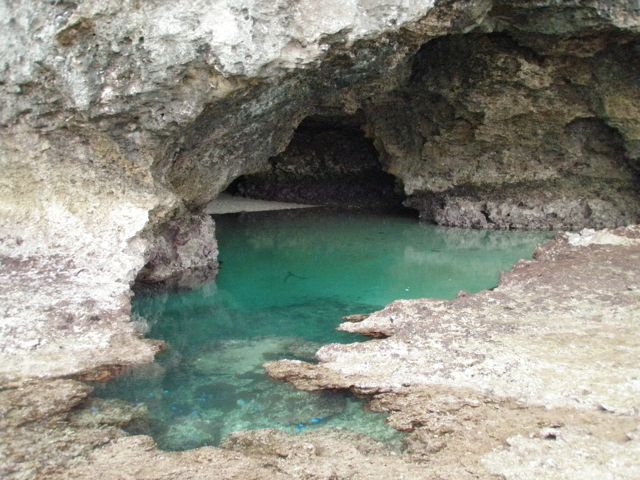 e0134752_20132774.jpg