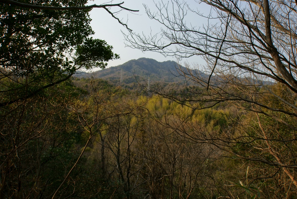 e0005253_23141414.jpg