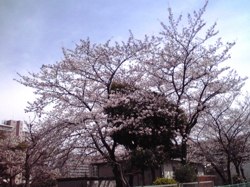 f0057955_201085.jpg