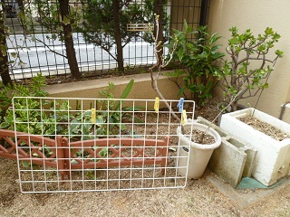 b0203758_94306.jpg