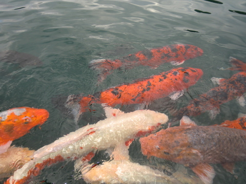 f0208758_20105484.jpg