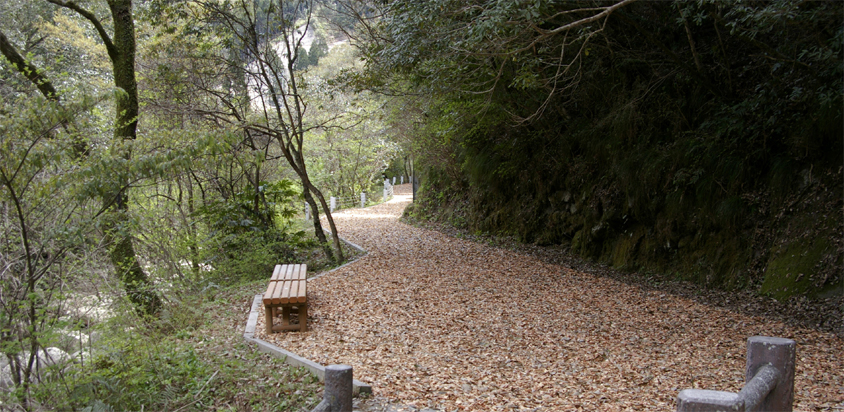 c0156359_0144610.jpg