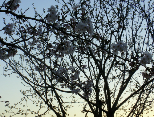 b0205760_2341684.jpg
