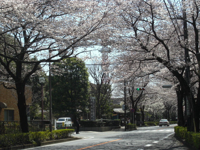 c0169360_45566.jpg