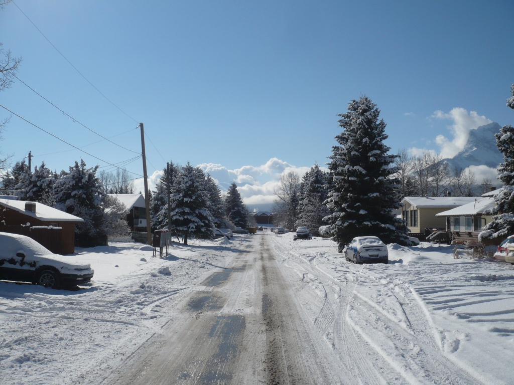 f0214562_1248551.jpg