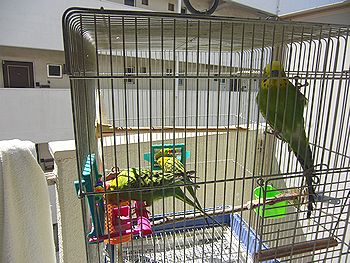 f0196665_0115391.jpg