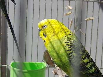 f0196665_015349.jpg