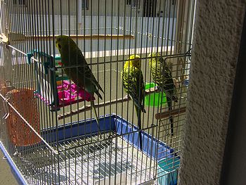 f0196665_0171511.jpg