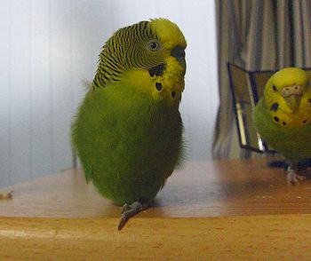 f0196665_2371071.jpg