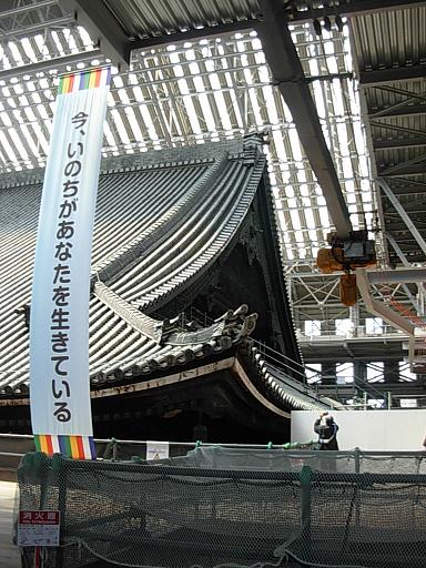 d0048366_18595498.jpg