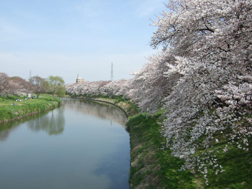 a0064067_21111482.jpg