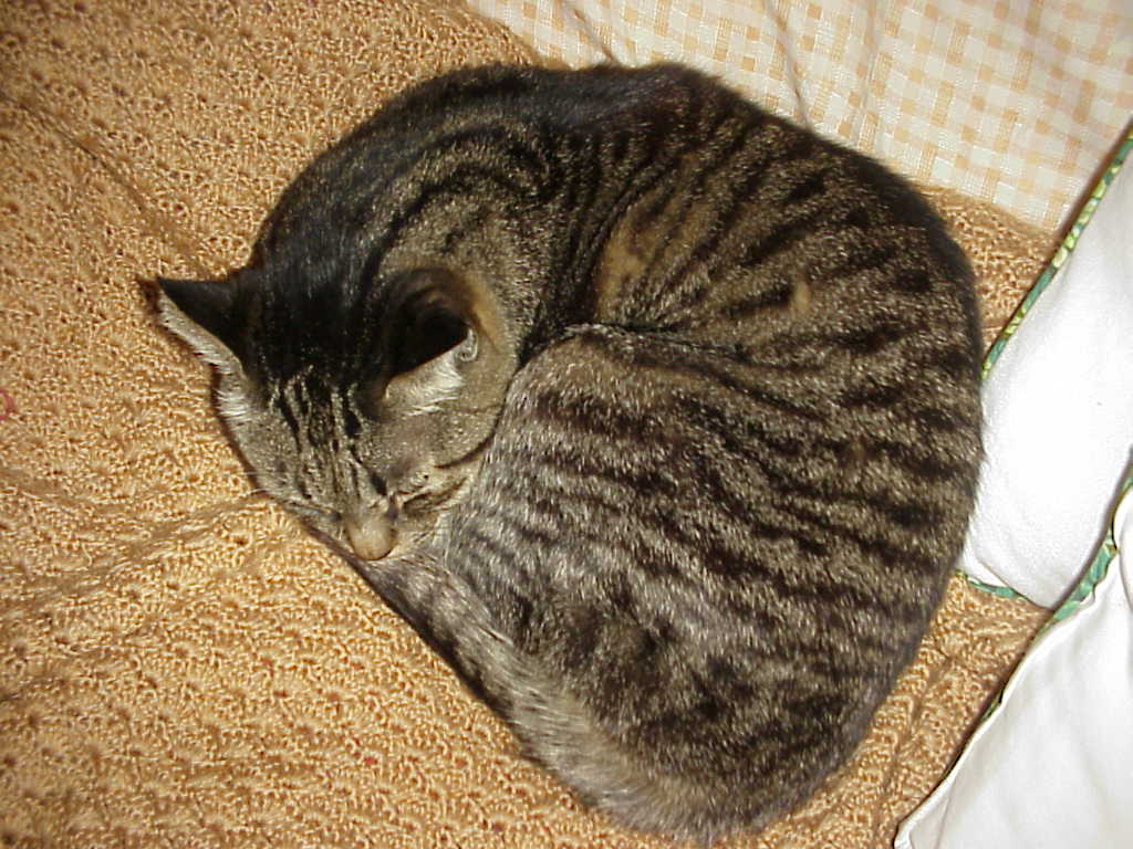 e0031572_2142326.jpg